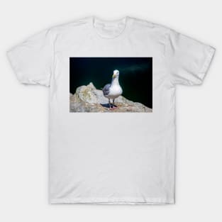 Sea Gull on Granville Island T-Shirt